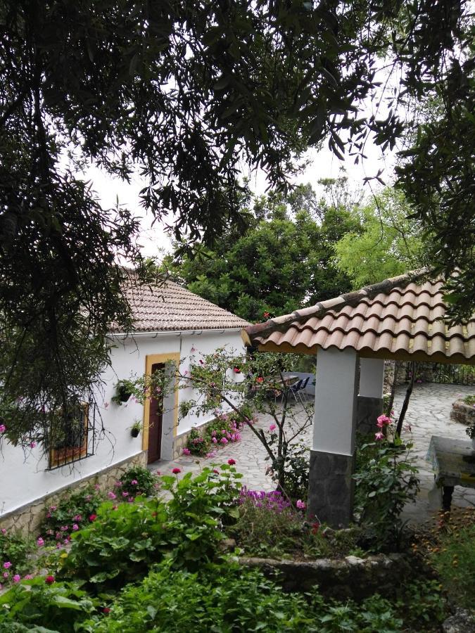 Casa El Cerro Villa El Bosque Exterior photo